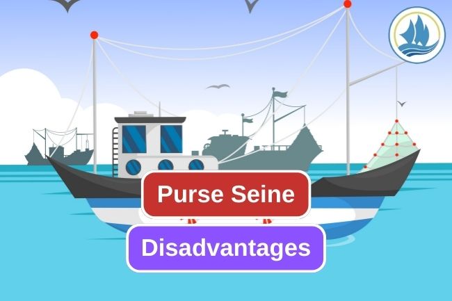 7 Weakness of Purse Seine as Fishing Gear